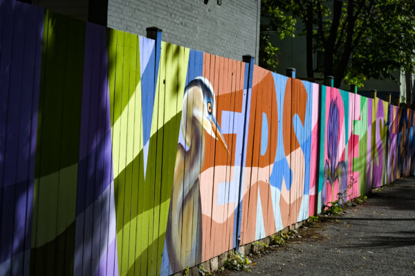 Project designed by community members with The Laneway Project and artist Julia Prazja located at Thompson St between Carroll St and Munro St