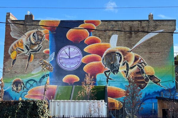 A Time for Pollinators located at 777 Queen East by artist Nick Sweetman 